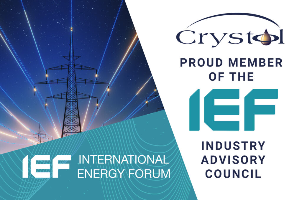 Member of the IEF Industry Advisory Council